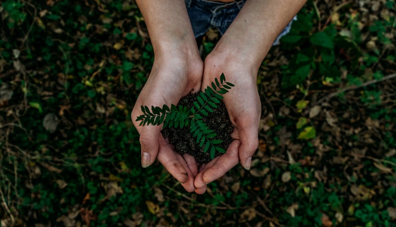 Eco-friendly green cleaning products